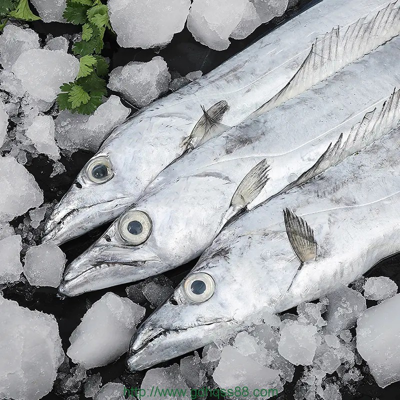 蔬菜配送之帶魚(yú)