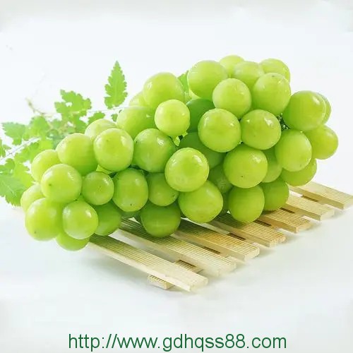 蔬菜配送之青提