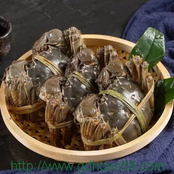 蔬菜配送之大閘蟹