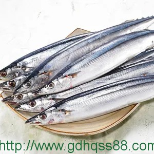 蔬菜配送之秋刀魚(yú)
